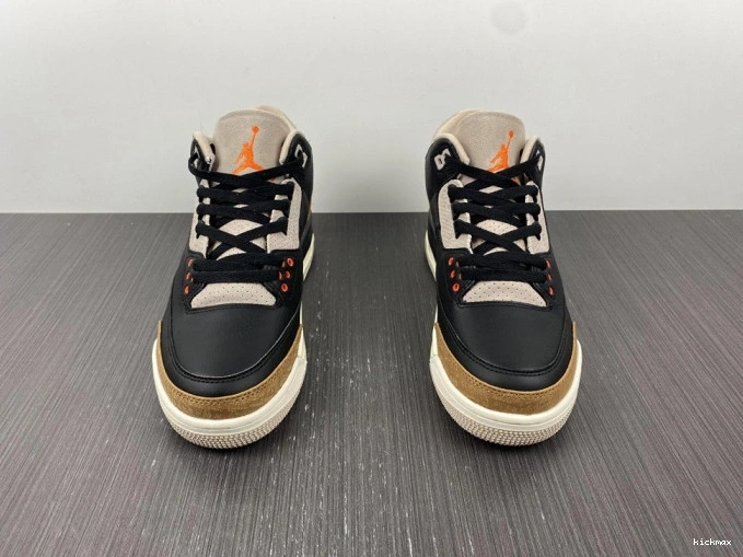 Cheap Jordan 3 CT8532-008 Air Elephant Desert 0714